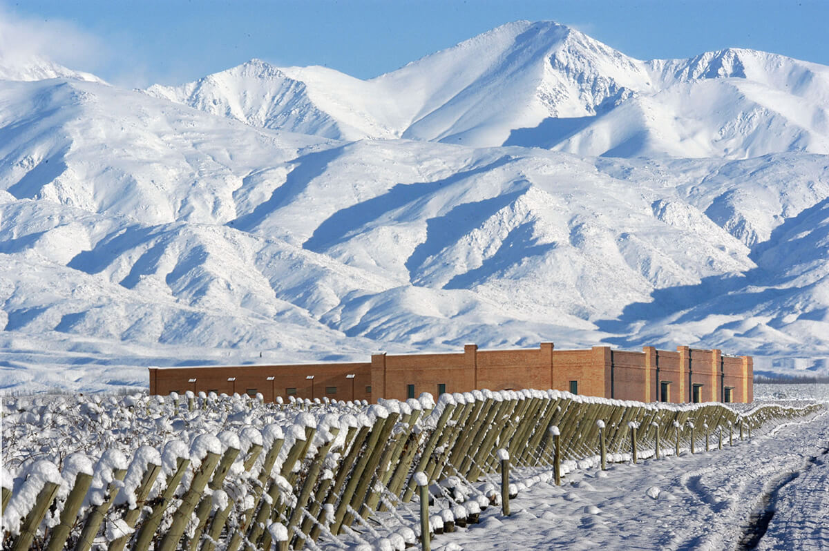 Cordillera y viñedos de Mendoza