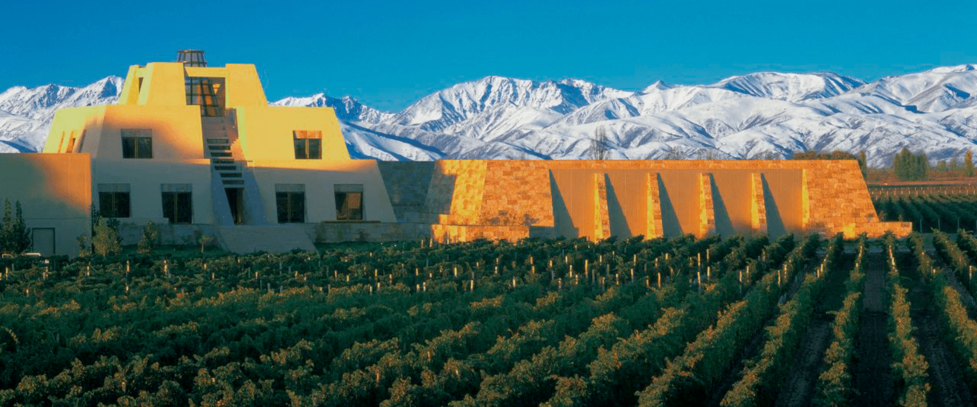Ruta del Vino — Luján de Cuyo Premium