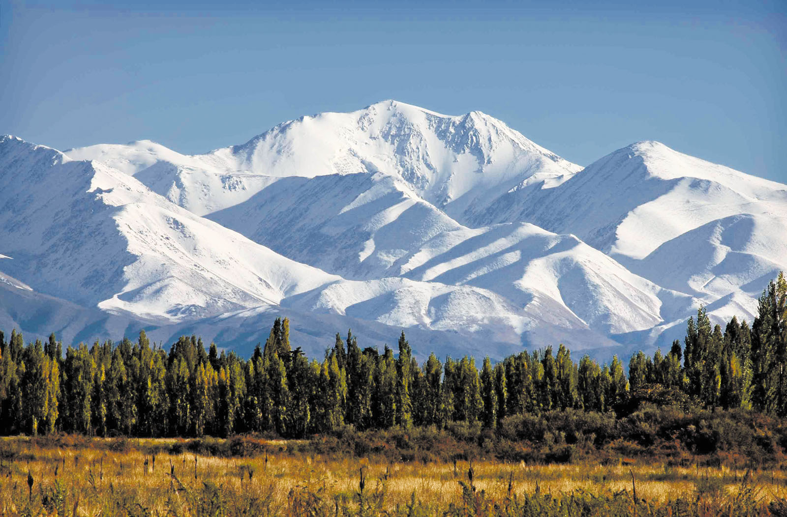 Alta Montaña — Aconcagua y Cordillera
